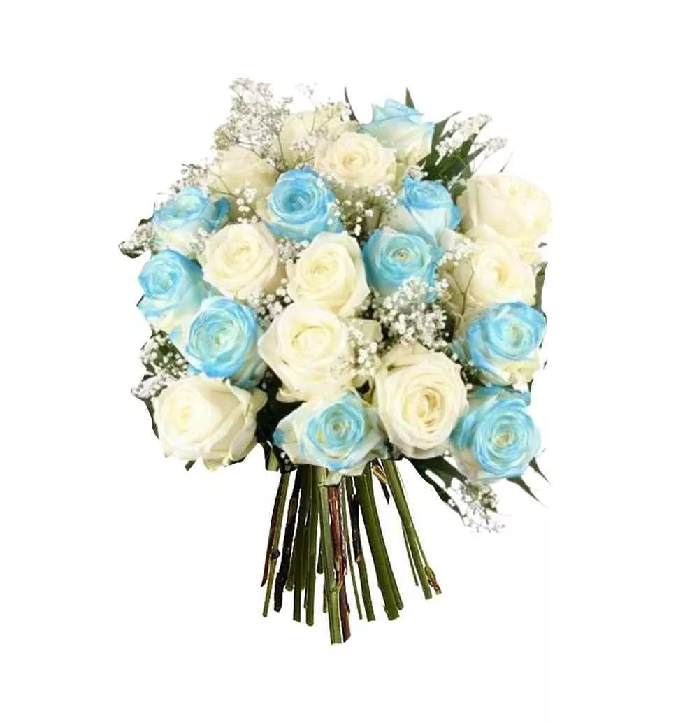 Harmony Of Blue And White Roses