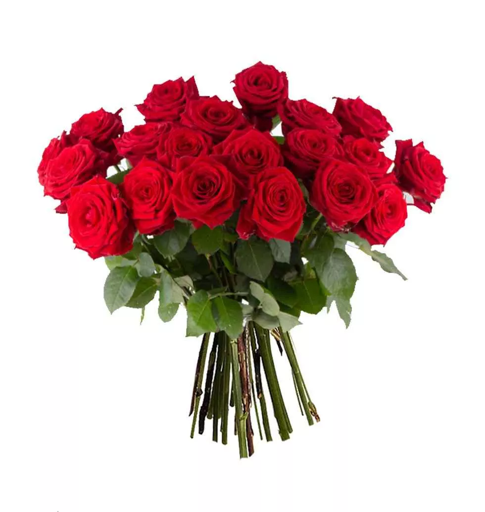 Ruby Radiance Exquisite Red Roses
