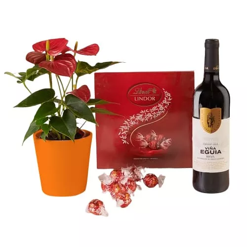 Red Wine and Anthurium Gift Set