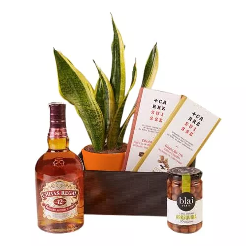 Gift Set with Sansevieria and Whiskey