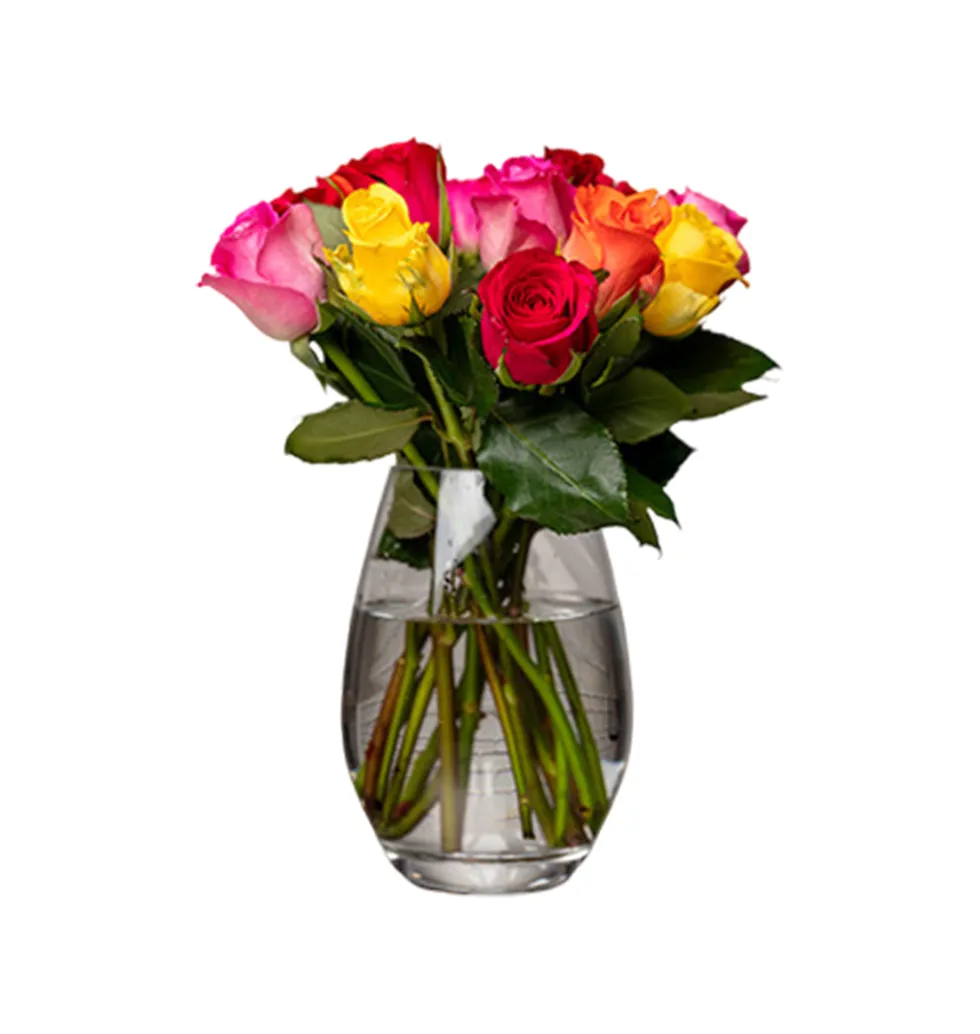 Colorful Celebration Roses