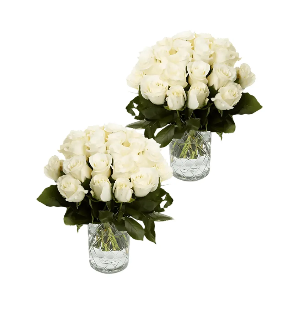 Grand White Rose Duo