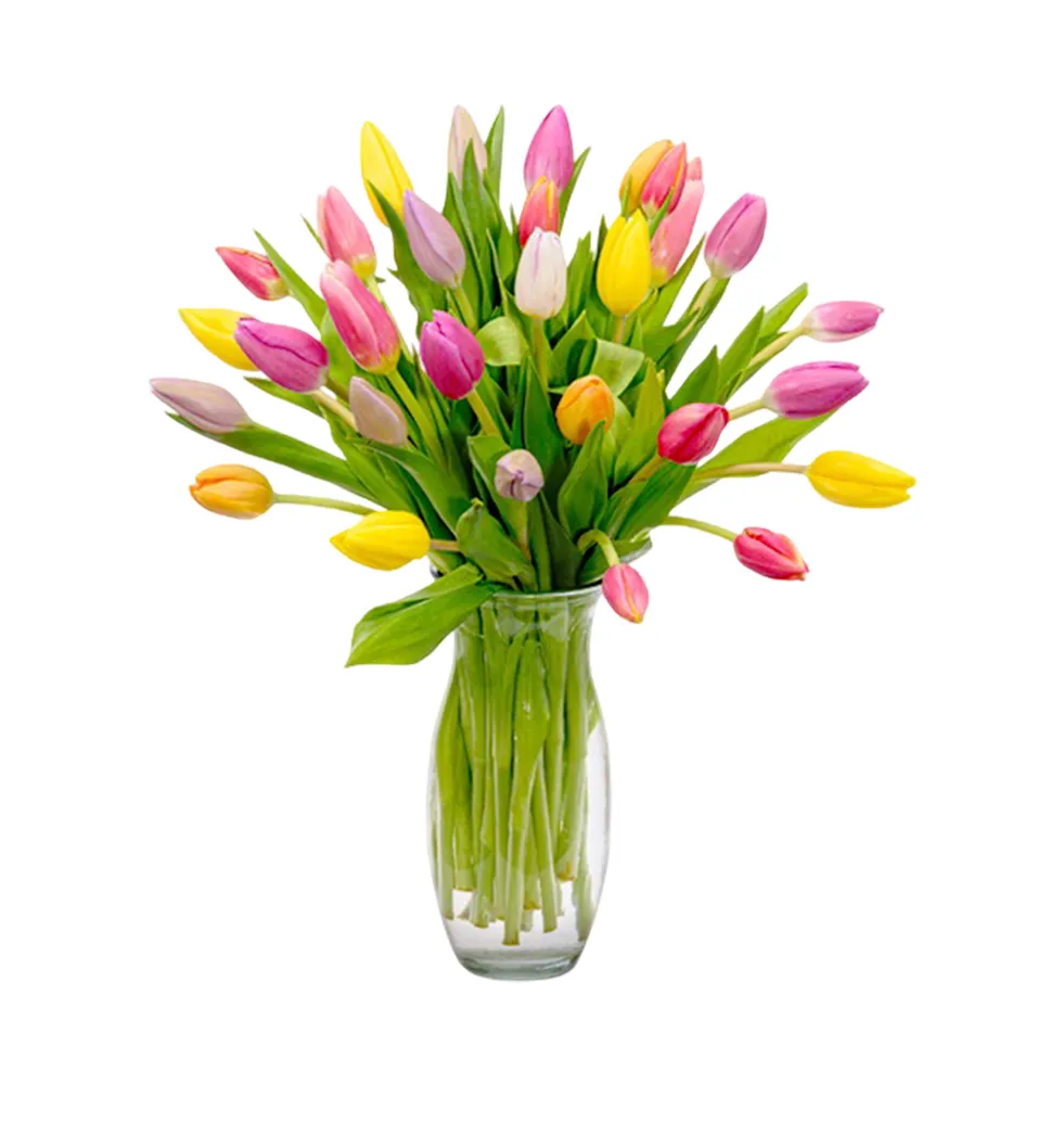 Charming Tulip Collection with Stylish Vase & Ferrero Giotto