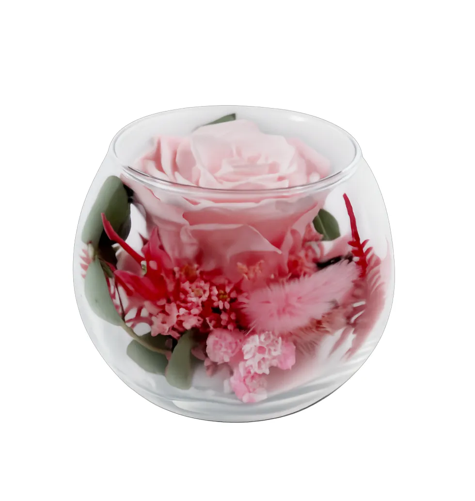 Forever Rose in Bloom