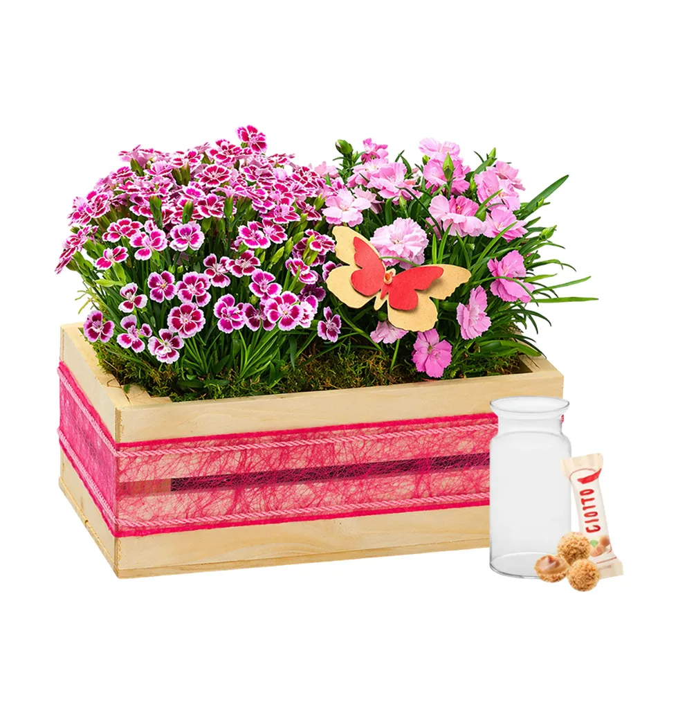 Serenade of Pink Carnations & Giotto Treats