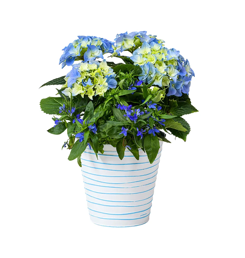 Stylish Blue Hydrangea Centerpiece