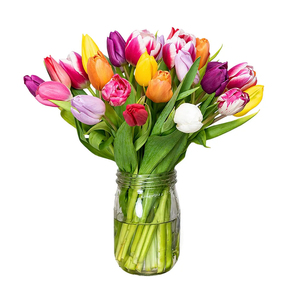 Blooming Harmony Tulip Arrangement